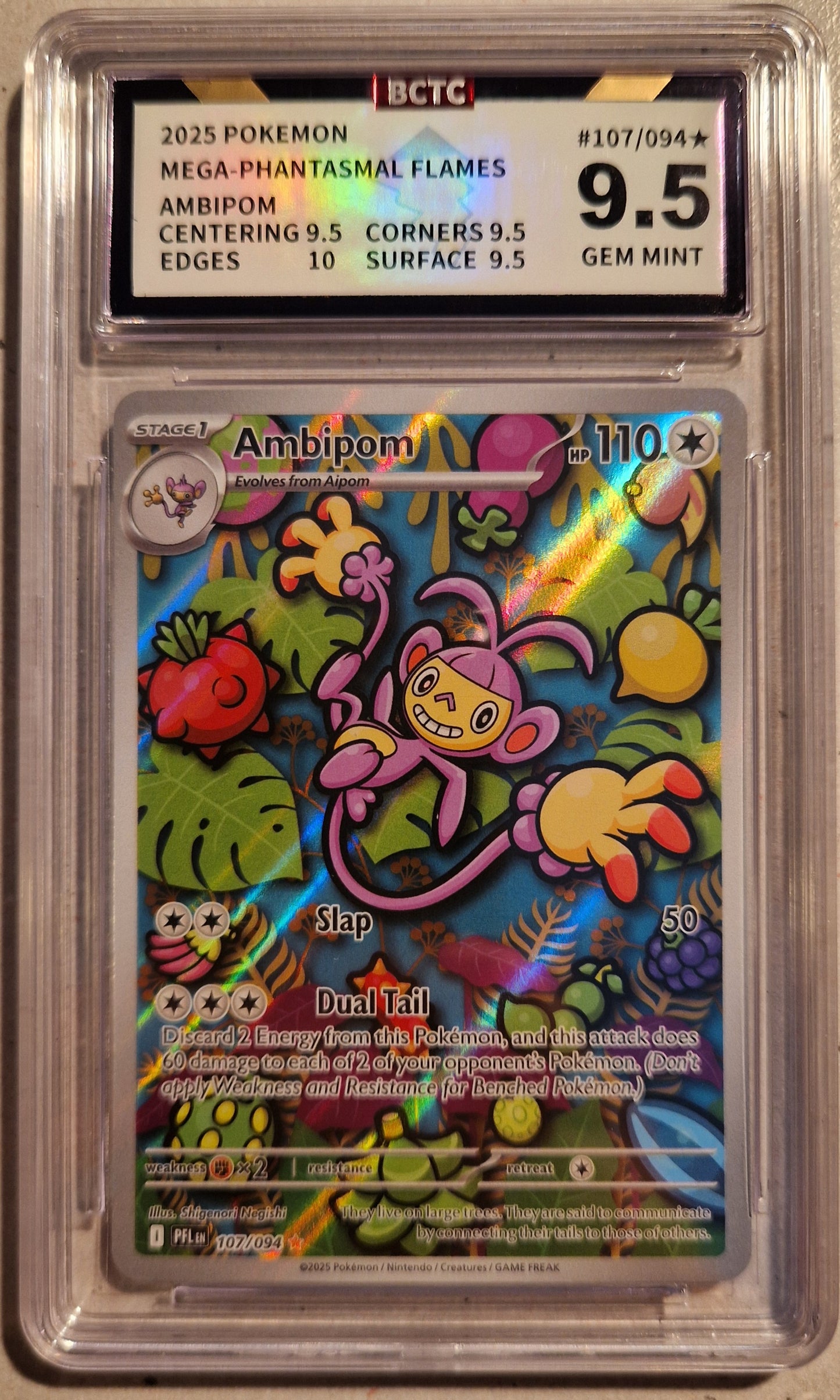 Ambipom PFLEN 107 BCTC 9.5