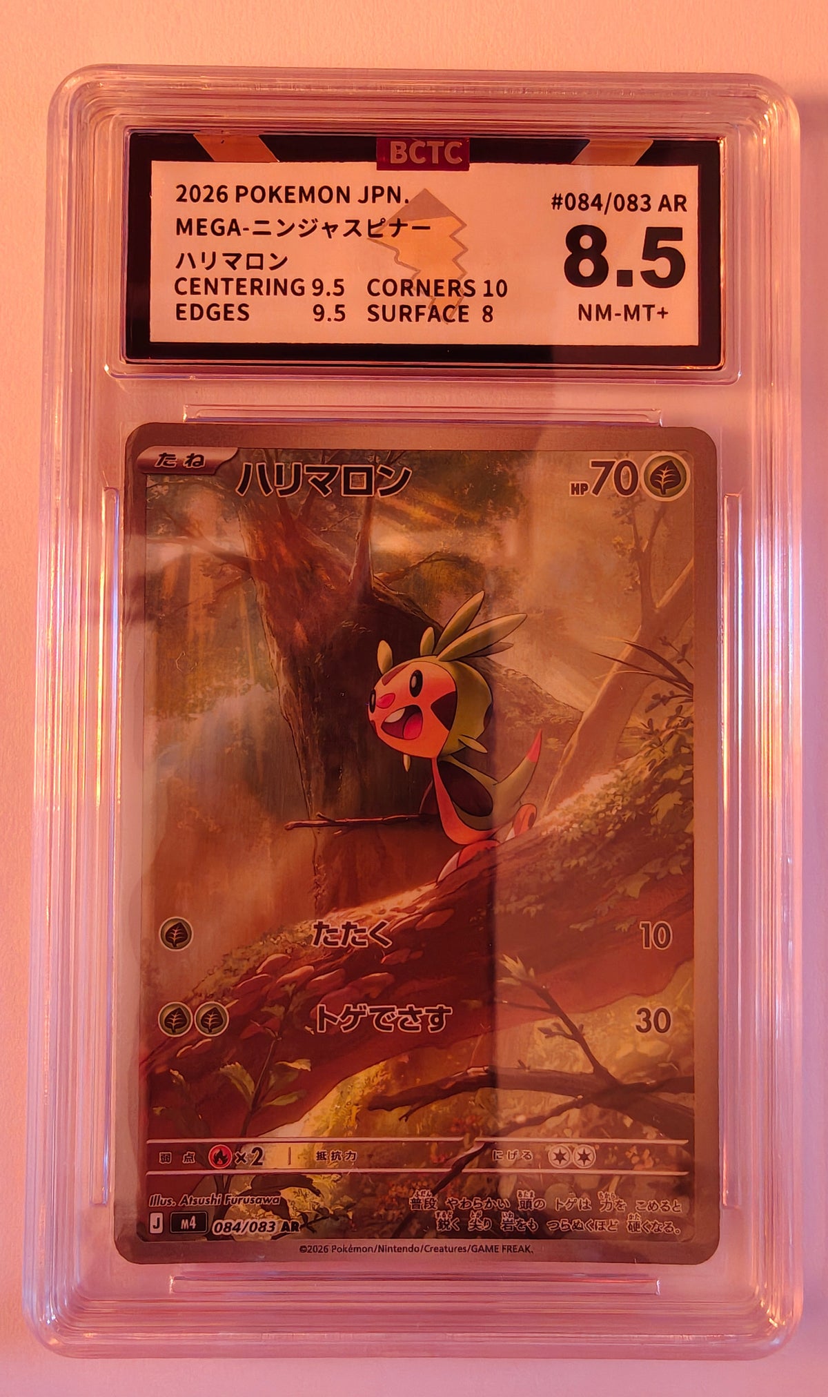 Chespin m4 084 BCTC 8.5