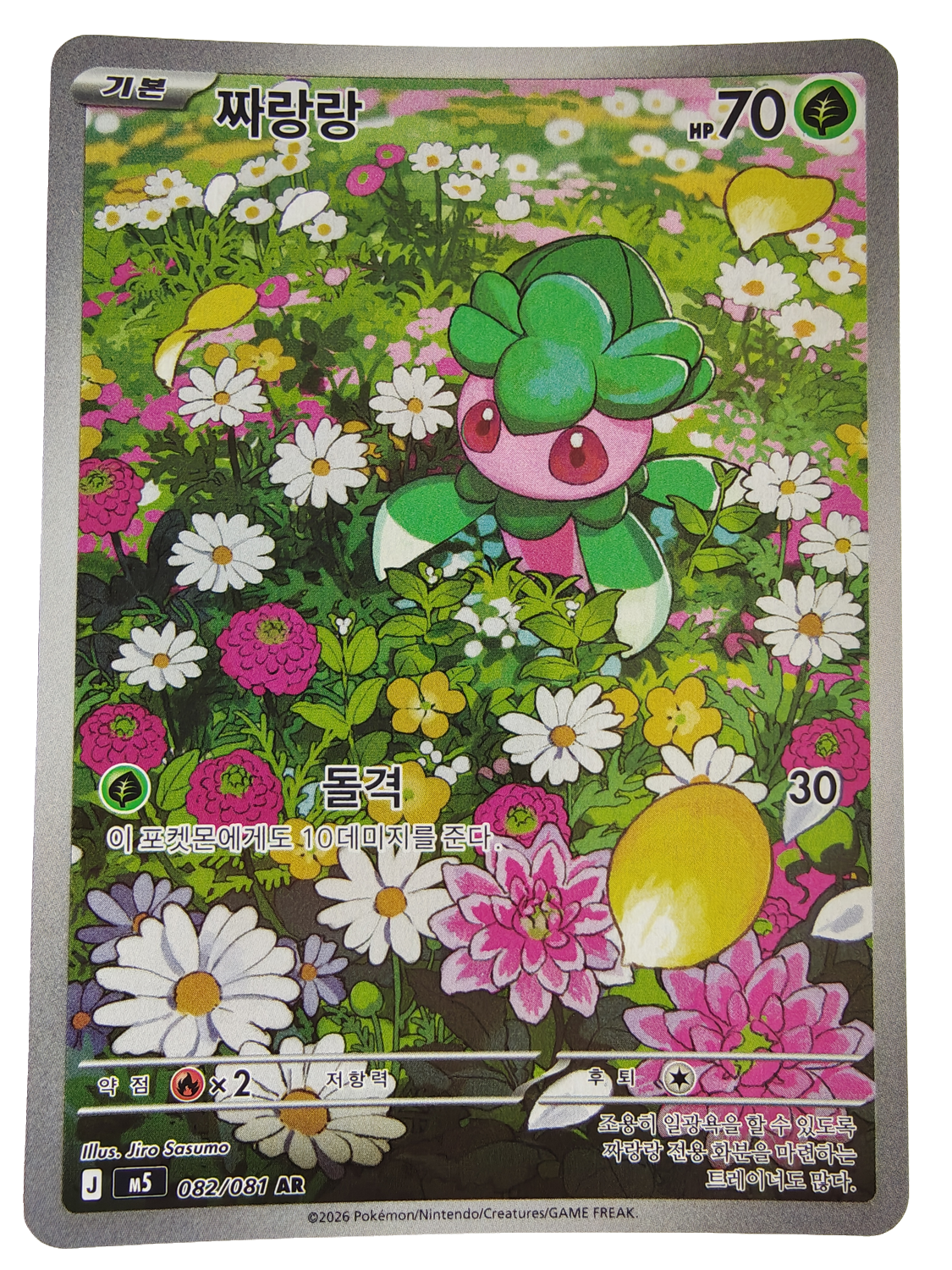 Fomantis m5 082