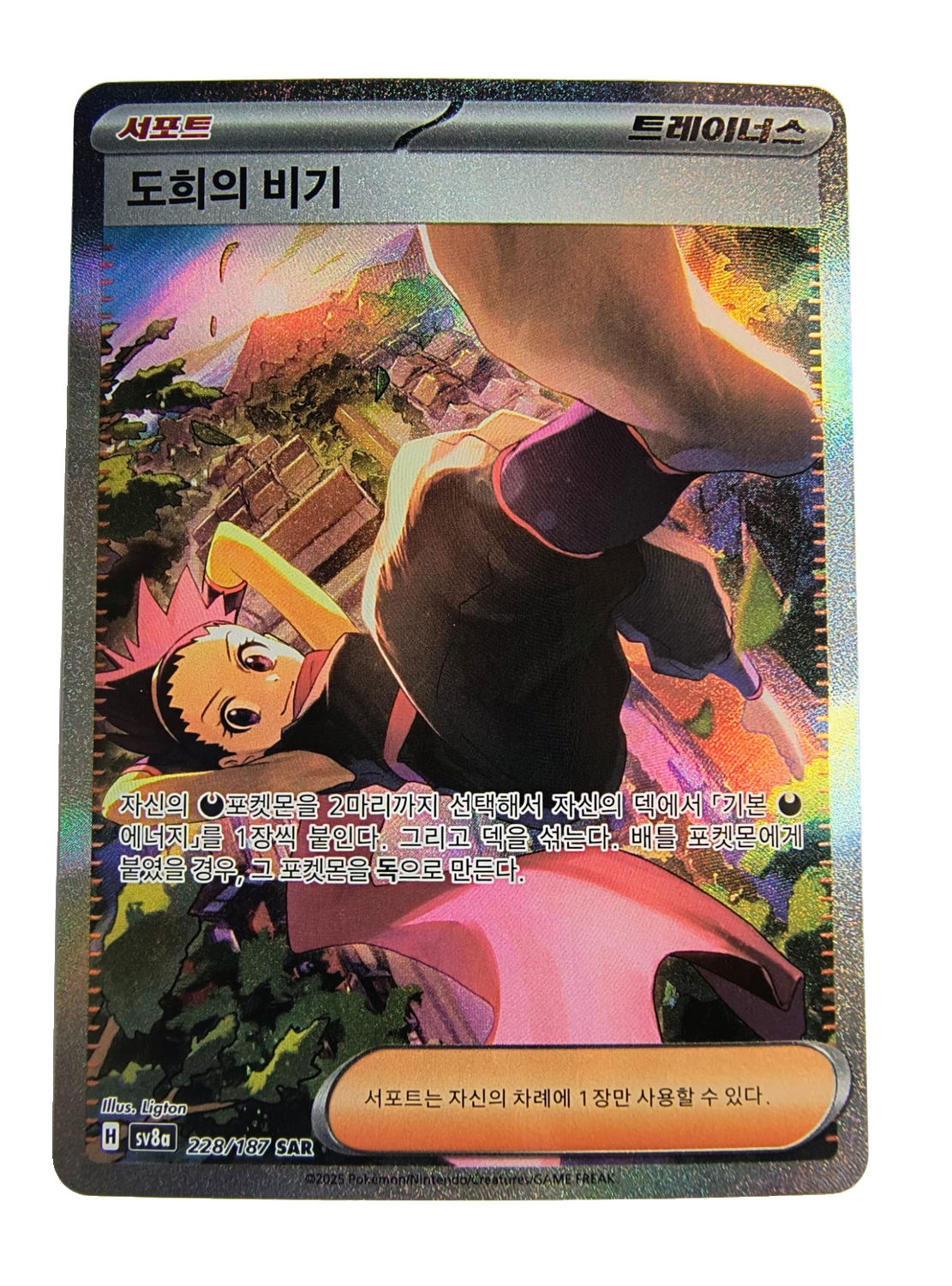 Janine's Secret Art sv8a 228