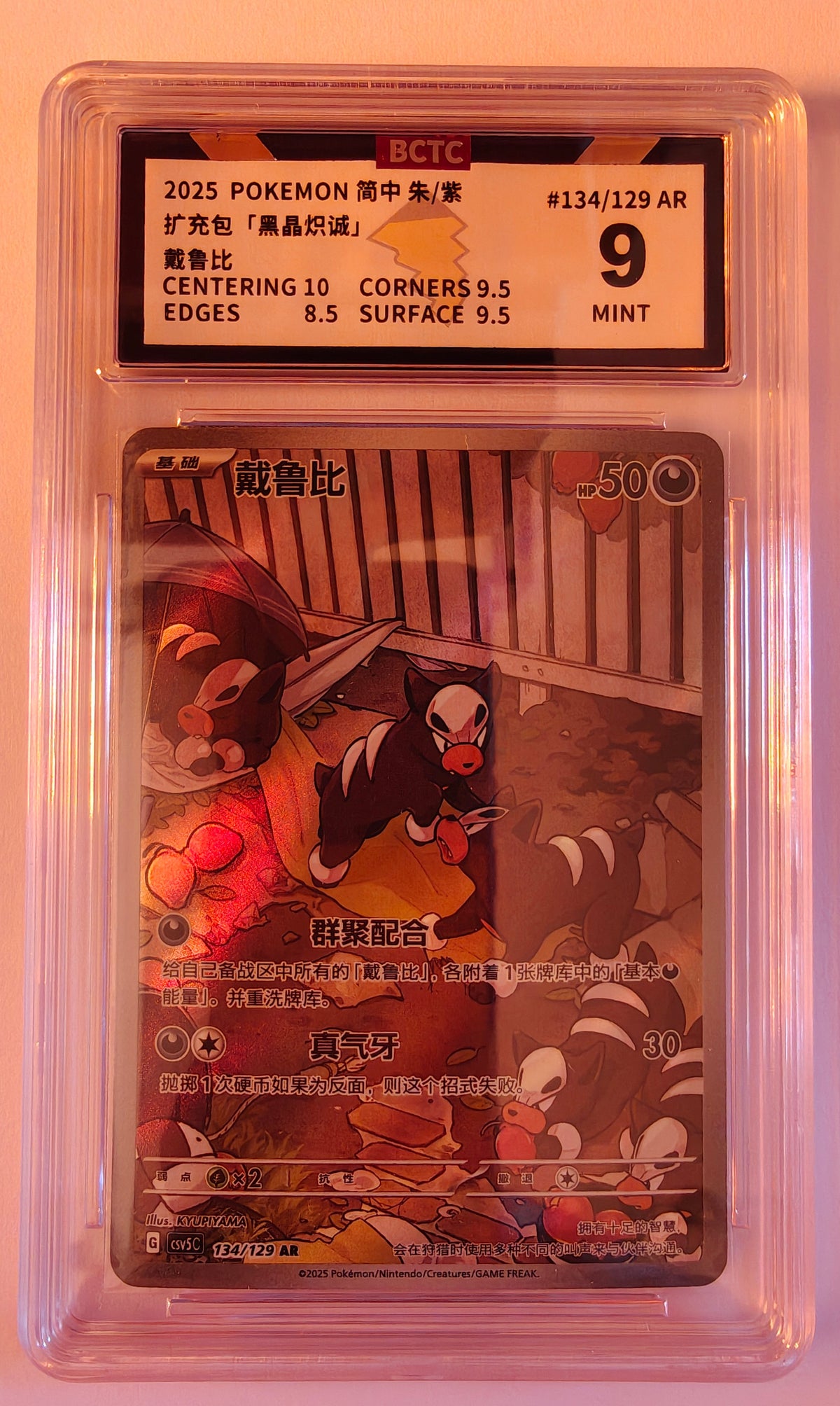 Houndour CSV5C 134 BCTC 9