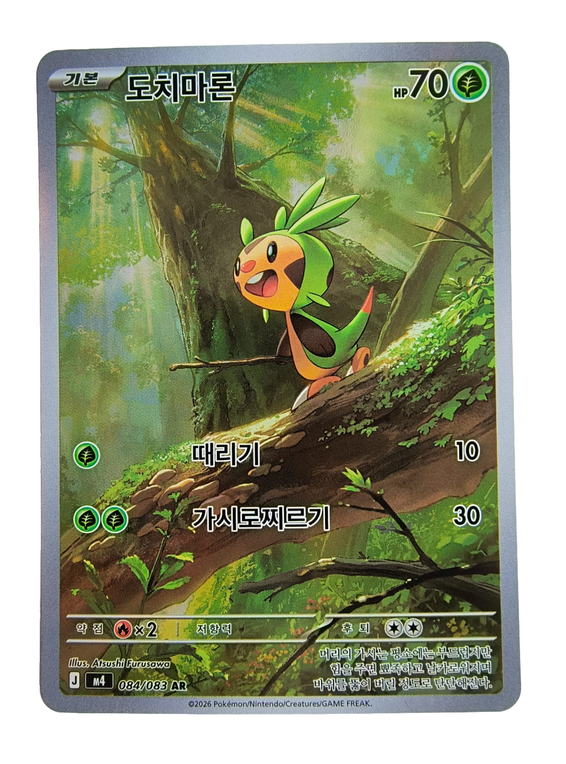 Chespin m4 084