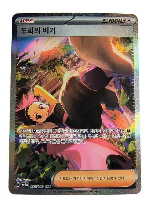Janine's Secret Art sv8a 228