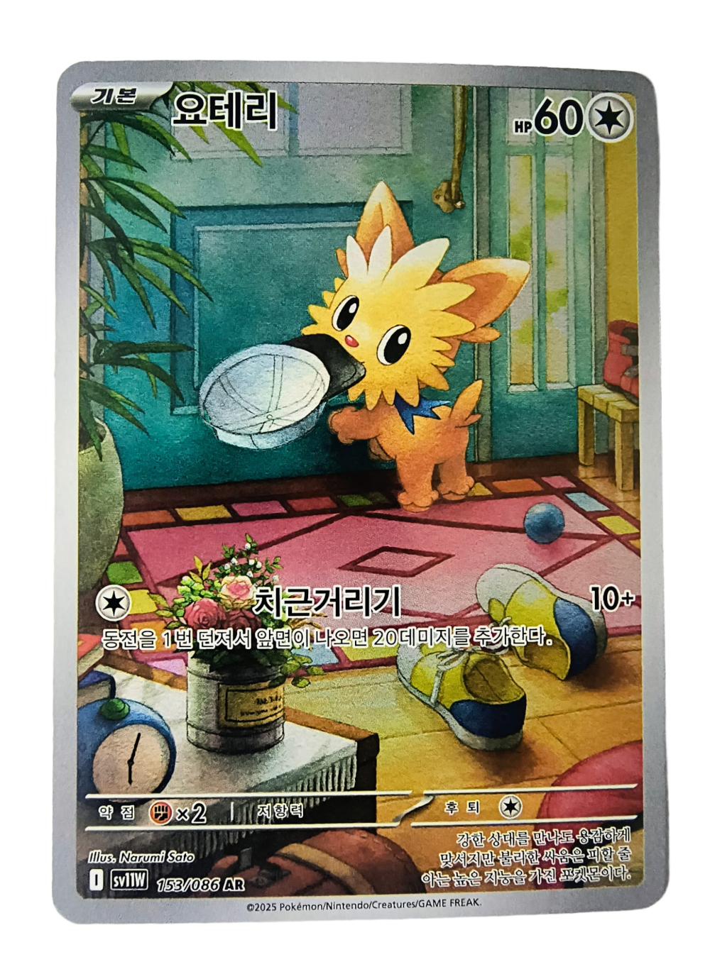 Lillipup sv11W 153