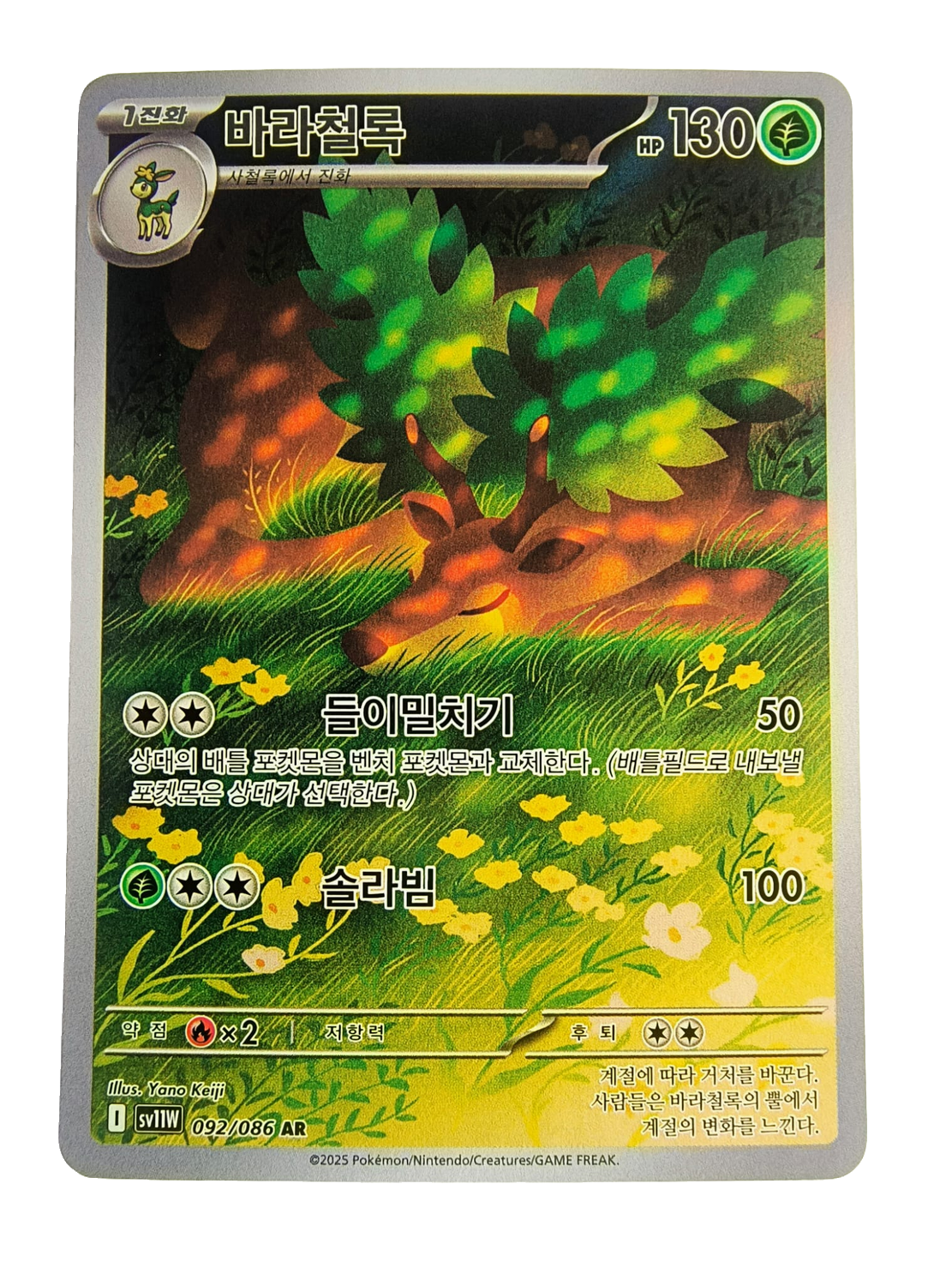 Sawsbuck sv11W 092