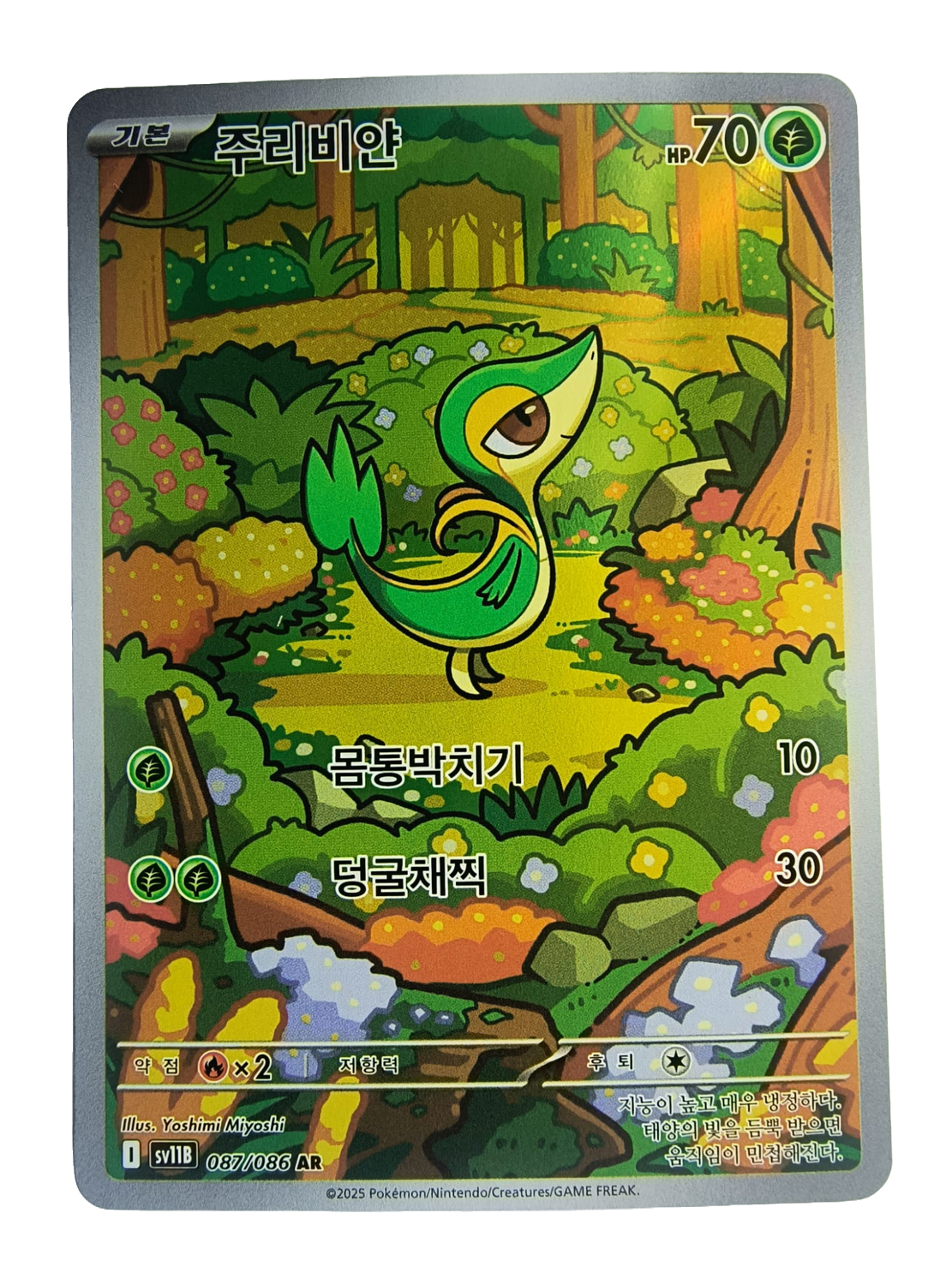 Snivy sv11B 087