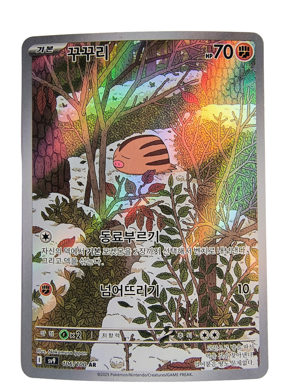 Swinub sv9 106