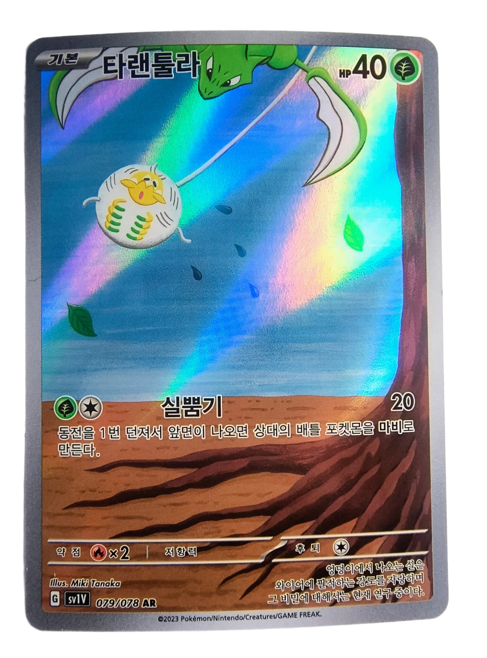 Tarountula sv1V 079