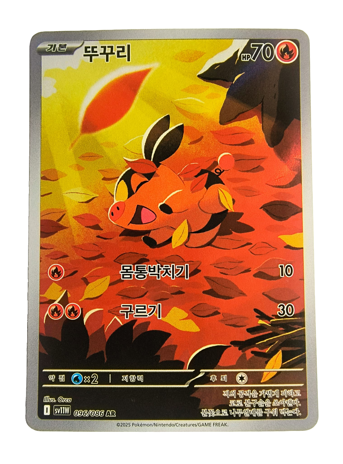 Tepig sv11W 096